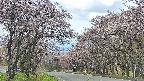 takano2-20250503113030.jpg