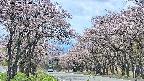 takano2-20250503114030.jpg