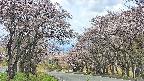 takano2-20250503115030.jpg