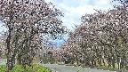 takano2-20250503120029.jpg