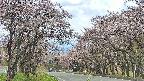takano2-20250503121030.jpg
