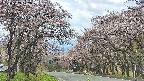 takano2-20250503122030.jpg