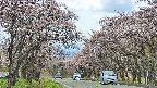 takano2-20250503123029.jpg