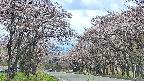takano2-20250503124031.jpg