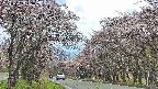 takano2-20250503125030.jpg