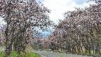 takano2-20250503130031.jpg