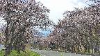 takano2-20250503131032.jpg