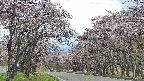 takano2-20250503132029.jpg