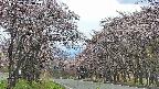 takano2-20250503133028.jpg