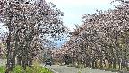 takano2-20250503134031.jpg