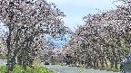 takano2-20250503135028.jpg
