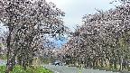 takano2-20250503142031.jpg