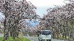 takano2-20250503143030.jpg