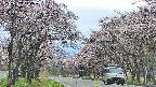 takano2-20250503144030.jpg