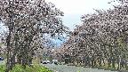 takano2-20250503145030.jpg