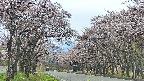 takano2-20250503150030.jpg