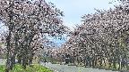 takano2-20250503151029.jpg