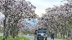 takano2-20250503153028.jpg
