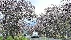 takano2-20250503154030.jpg