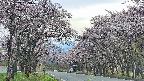 takano2-20250503155030.jpg