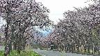 takano2-20250503160030.jpg