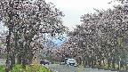 takano2-20250503161030.jpg
