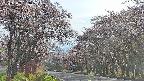 takano2-20250503163030.jpg