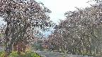 takano2-20250503164030.jpg