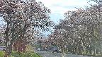 takano2-20250503165031.jpg