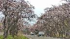 takano2-20250503170030.jpg