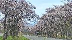 takano2-20250503171030.jpg