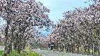 takano2-20250503172029.jpg