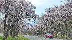 takano2-20250503173031.jpg