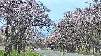 takano2-20250503174029.jpg