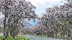 takano2-20250503175031.jpg