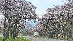 takano2-20250503180031.jpg