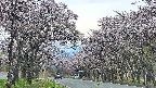 takano2-20250503181031.jpg