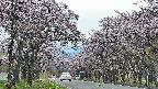 takano2-20250503182029.jpg