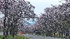 takano2-20250503183030.jpg