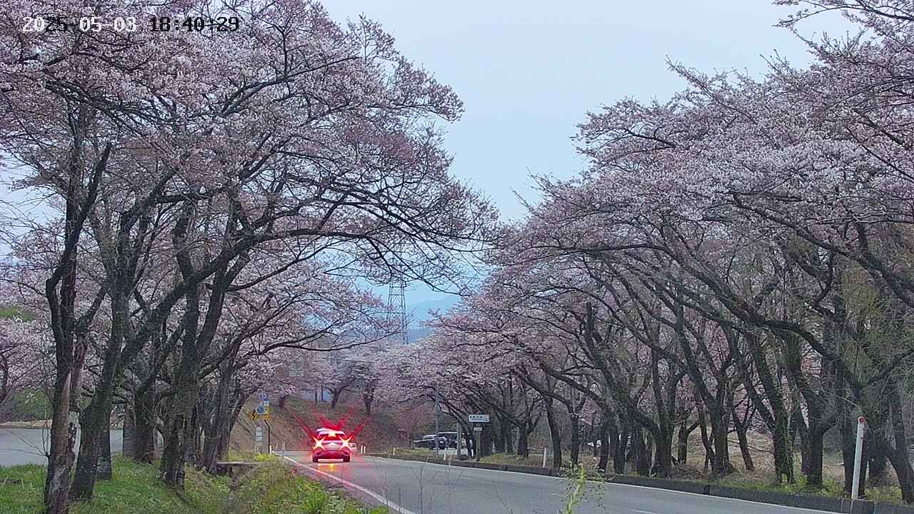 takano2-20250503184030.jpg