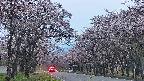 takano2-20250503184030.jpg
