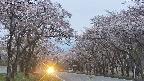 takano2-20250503185030.jpg