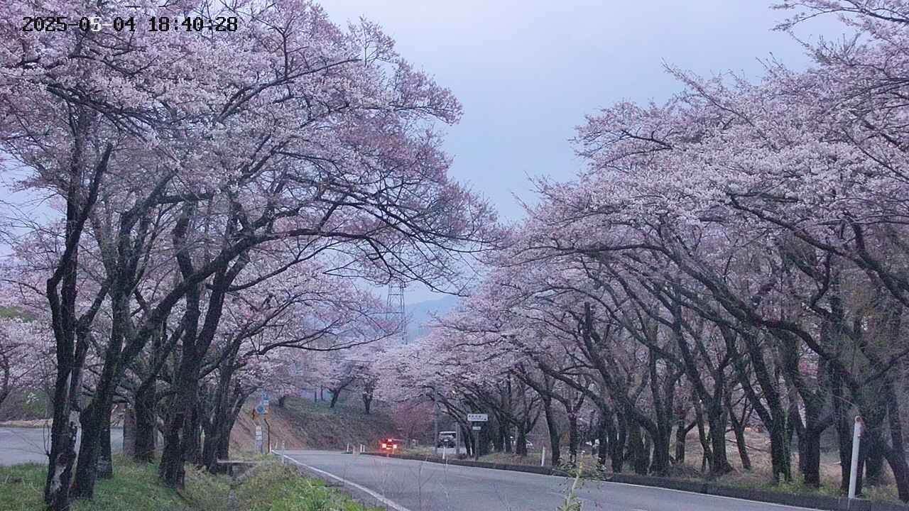 takano2-20250504184029.jpg