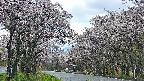 takano2-20250505050029.jpg