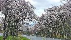 takano2-20250505051029.jpg