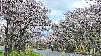 takano2-20250505052030.jpg