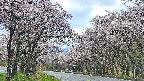 takano2-20250505053031.jpg