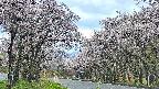 takano2-20250505054030.jpg
