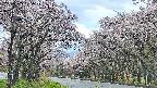 takano2-20250505055028.jpg
