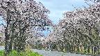 takano2-20250505061029.jpg